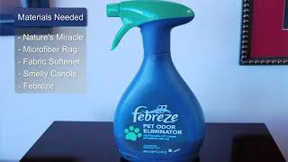 How to Get a Wet Dog Smell Out of Furniture