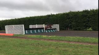 Lord Topper (near) upsides Blue Bullet (far)