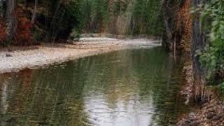 İçinizi Isıtacak Bir Video-20 Sonsuz Rahmet İslamın Duygusal İyileştirme Gücü