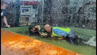 Dramatic video of alligator grabbing Utah zoo handler, visitor jumps in to help