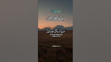 #القران_الكريم #اكسبلور #راحة_نفسية #سورة_الحجرات #ماهر_المعيقلي #corano #quran #nature