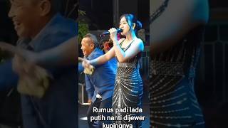 Download Lagu Amy anjaya nir Habis Gelap Terbitlah Terang (Lyric #dangdut #mayadjdj #dangdutkoplo #dugemkenceng ±3 MP3