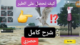 شرح || كيف تحصل على الطير في ببجي موبايل - حصري 