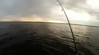 Pike fishing / Haugipüük merest