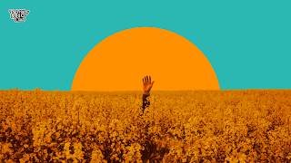 Friday Wind Down | Full Deep Afro-House & Amapiano Album (After Hours Memo — The Friday 5:01 Club)