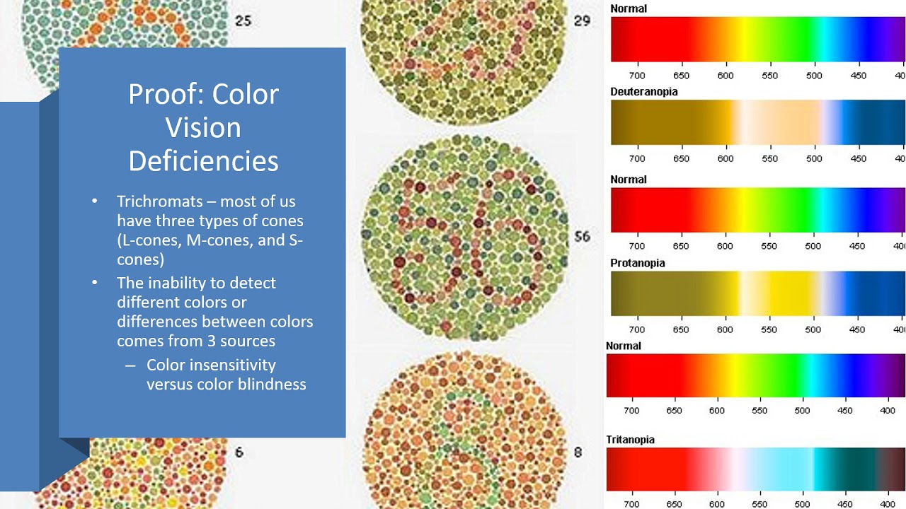 Module 3 - Visual Perception Recording