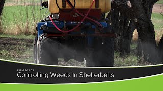 Controlling Weeds in Shelterbelts