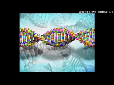 Dimitri Funky - Gene 18297 (overwritten DEMO at 10h40)