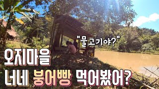 붕어빵 처음 먹어본 라오스 친구들 VLOG ㅣ카사바 캐기ㅣ조개와 초장ㅣ붕어빵