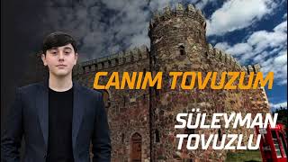 Süleyman Tovuzlu - Canım Tovuzum (Yeni Mahnı)2026