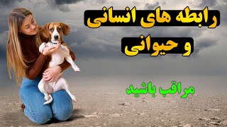 چه حالتی در بدن انسان می افتد هنگامی با حیوان نزدیکی میکند؟ NEXT ...