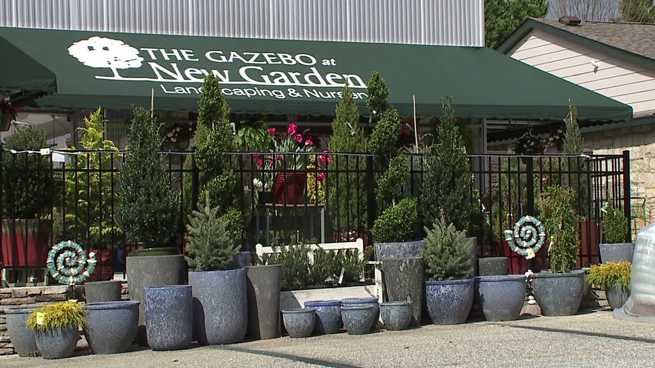 Garden Businesses Booming Amid Coronavirus Outbreak