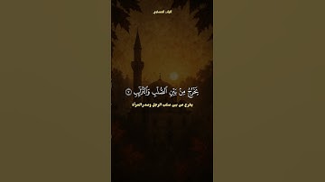 سورة الطارق | الشيخ محمد صديق المنشاوي