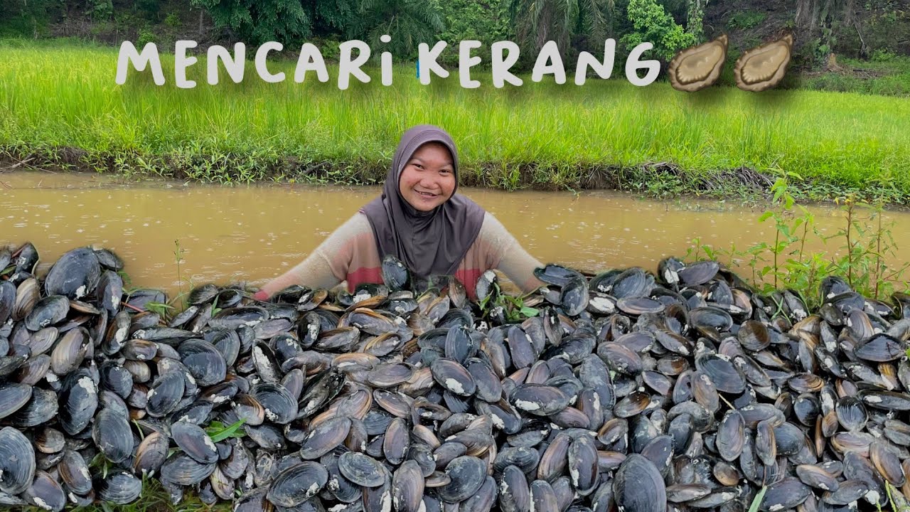 Seharian mencari kerang di sawah #adayinmylife #adventure #minivlog