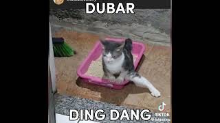 Download Lagu subay sikibay MP3 Download Lagu subay sikibay MP3