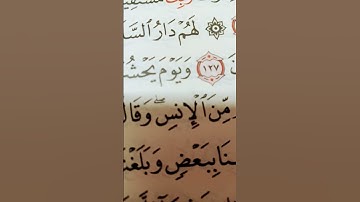 بسم الله الرحمن الرحيم قران من سورة الأنعام #تحياتي_لجميع_متابعين #اكسبلور #ايقنت