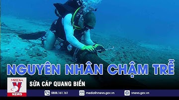 Nguyên nhân chậm trễ sửa cáp quang biển - VNEWS