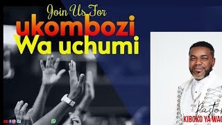 UKOMBOZI WA UCHUMI