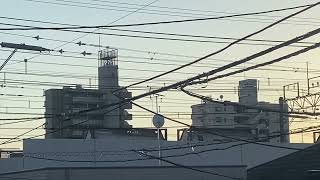 1094レ鹿島貨物EF210桃太郎358号機