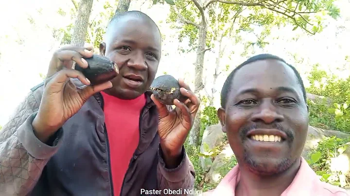 HARD WORKING || Life in the Village @Samwel_Ke