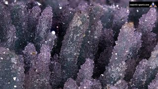 A576 - Amethyst Flower Cluster