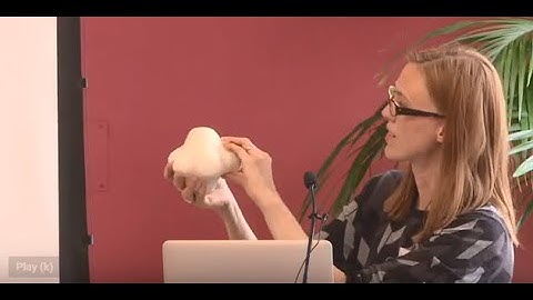 Human Brain Organoids Symposium - Madeline Lancaster