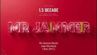 Nucleya - Aaja (Mr Jammer Remix) |  1.5 Decade of Mr Jammer