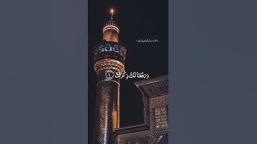 سورة الشرح للشيخ أنس الميمان