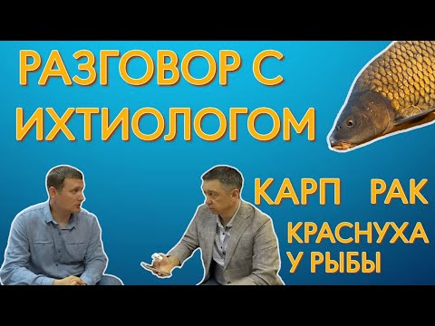 Вопросы ихтиологу. Какие условия нужны для размножения карпа и другие вопросы.