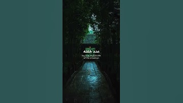 سبحان الله وبحمده عدد خلقه ورضا نفسه وزنه عرشه ومداد كلماته | اذكار