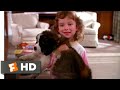 Beethoven (1992) - The New Puppy Scene (1/10) | Movieclips