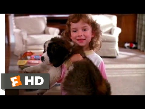 beethoven-(1992)---the-new-puppy-scene-(1/10)-|-movieclips