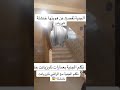 جنية خنشلة 