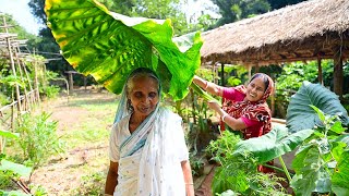 ঠাকুমার পদ্ধতিতে চিংড়ি মাছ দিয়ে মানকচু ডাটা কিভাবে খেতে হয় | How to cook Bengali Mankochu Data