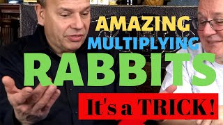 Multiplying Rabbits Set - Does A Rabbit Come From An Egg? - Magictricks