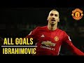 Zlatan Ibrahimovic | All the Premier League Goals (16/17) | Manchester United