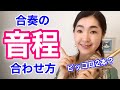 【フルートピッコロ】音程の合わせ方 | 高い 低い | 練習 | 悪い 合わない 安定しない | 吹奏楽 | クラリネット | トランペット | オーボエ | アルトサックス | ホルン pitch