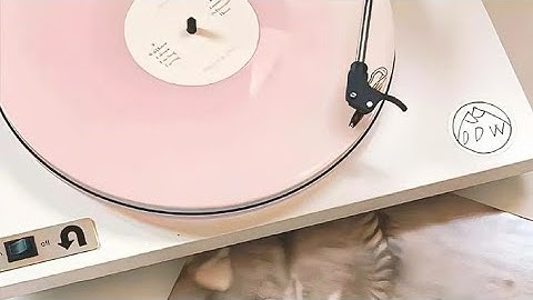 Cara membuat aplikasi formulir menggunakan wxformbuilder