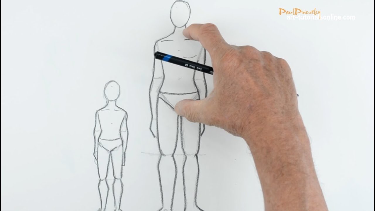 How to draw a figure in proportion - Artists & Illustrators