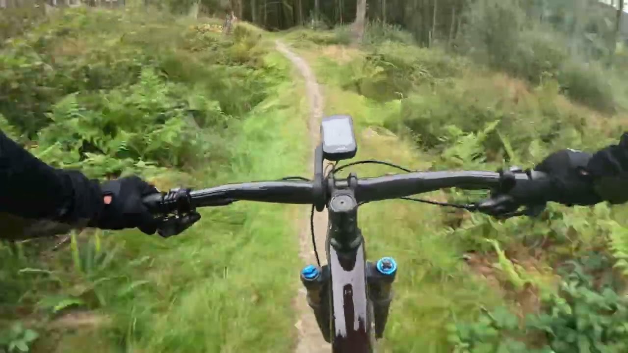 Brechfa - Raven & Gorlech Trail Highlights