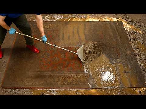 I Cleaned The DIRTIEST 60-Year-Old Persian Carpet Ever!