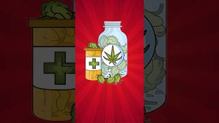 Stop RUINING Your Cannabis Buds! 🌿 How to Store Them the Right Way
