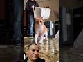 ¡Los reyes del show son ellos! 🐾✨ #viral #cat #shortvideo #diy