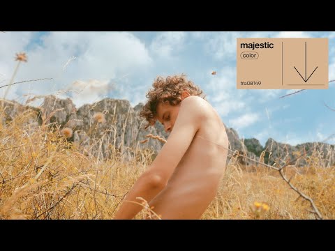 goldenair - No Holding Back feat. Shibo | majestic color