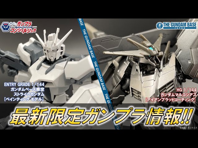 ENTRY GRADE 1/144 Gundam Base Limited Strike Gundam [Painting