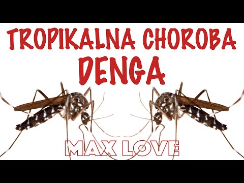 Denga Dengue Miałem 2 Razy, Czym Jest i Jak Leczyć Tropikalna Choroba