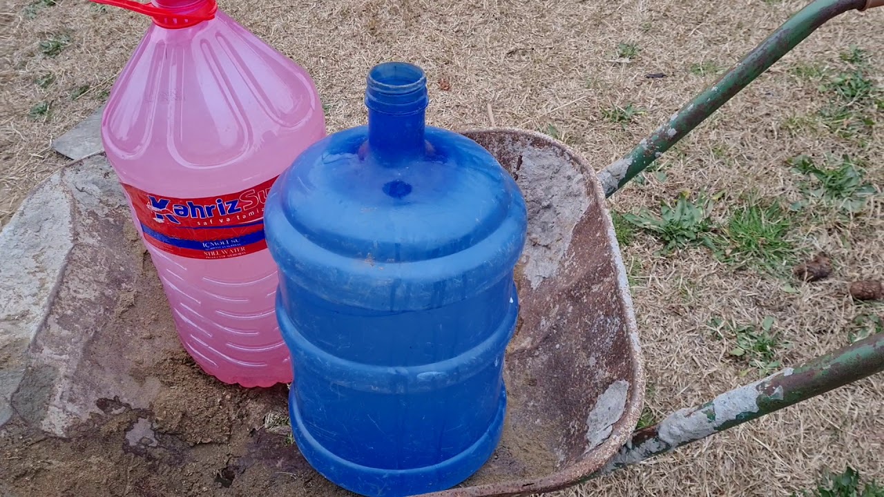 Tuya, kiparis, şam ağacların həstəliyi. Dərmanla müalicə.