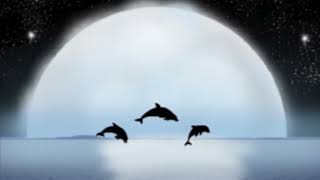 - 7-Écrit 8Ème Partie - Le Végétal