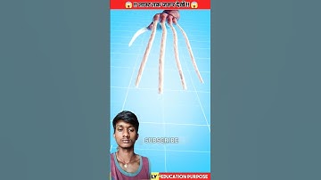 What Will Happen If You Never Cut Your Nails? | Shocking Facts 3D Animation