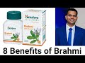 8 Main Benefits Of Brahmi- best herb to increase memory and concentration